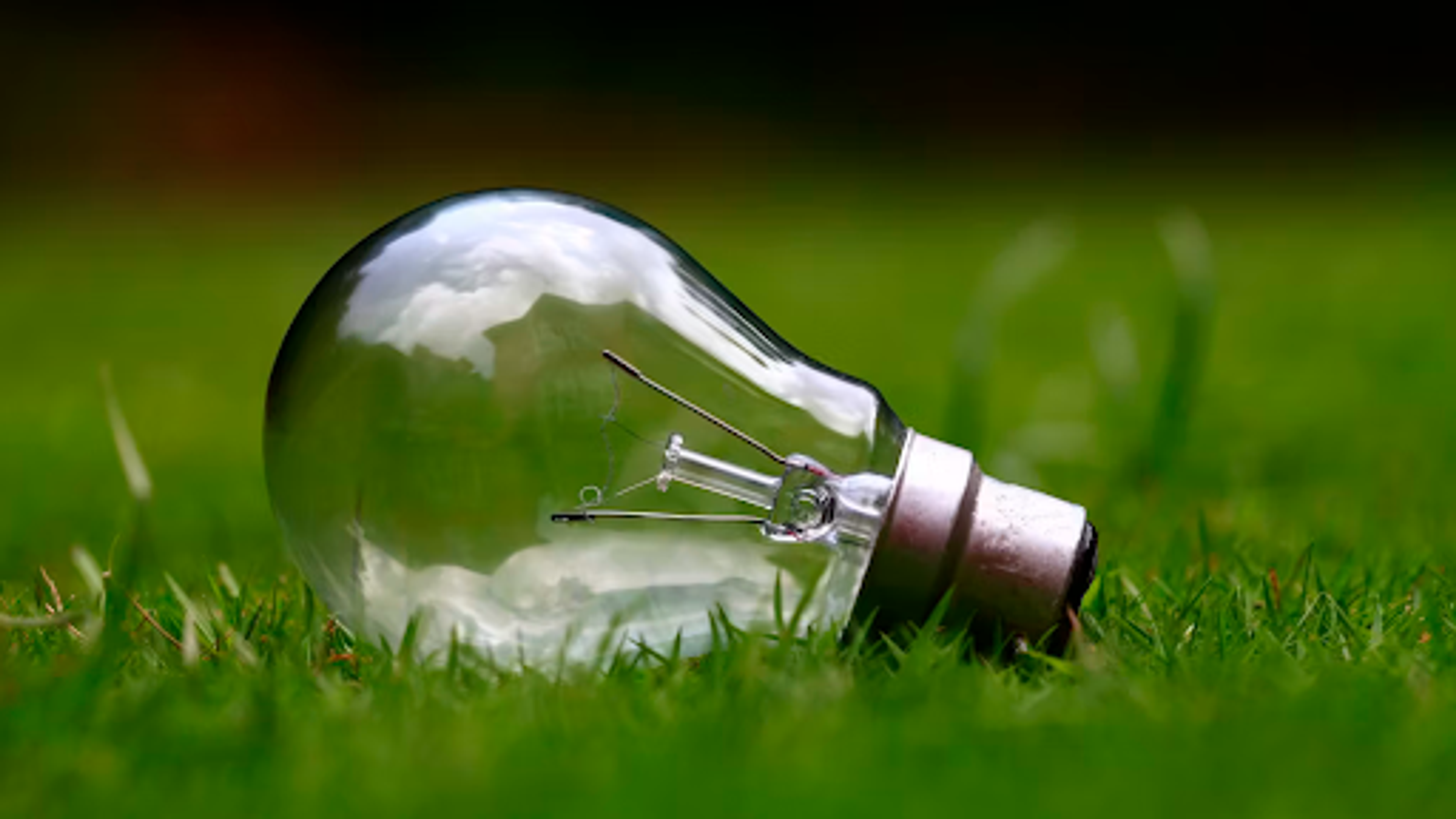 Die Ökostrom-Falle! Wie Sie Greenwashing entlarven und wirklich lokale Anbieter finden