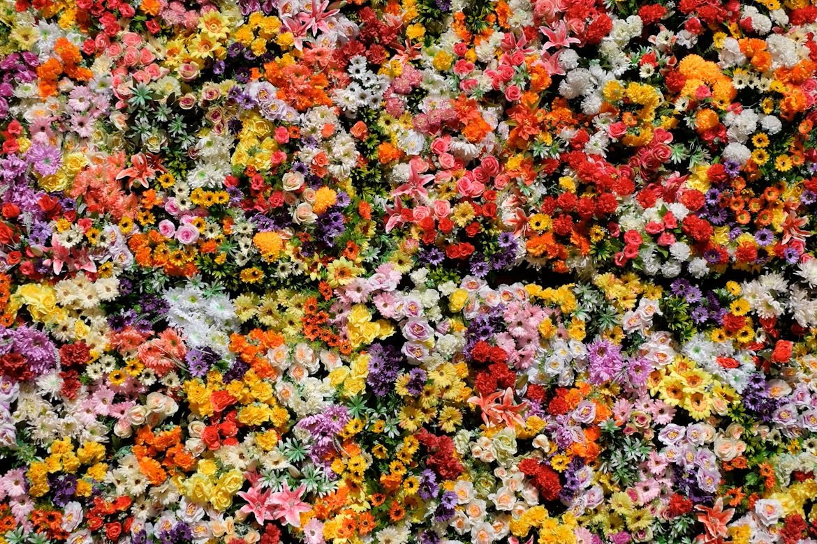 Blumen kaufen – Qualität, Auswahl und Service im Überblick