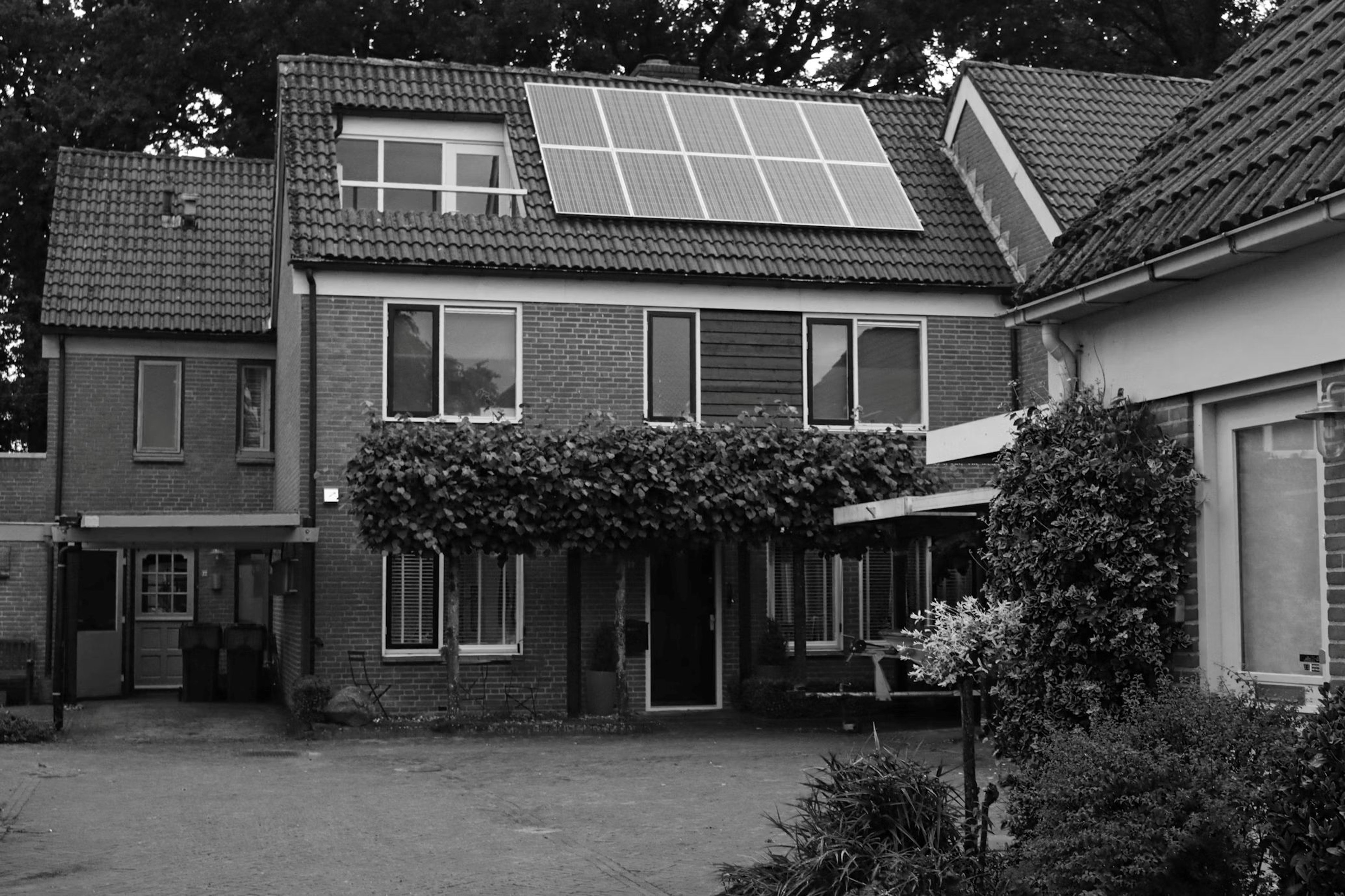 Nachhaltig wohnen – Energieeffiziente Immobilien und Förderprogramme