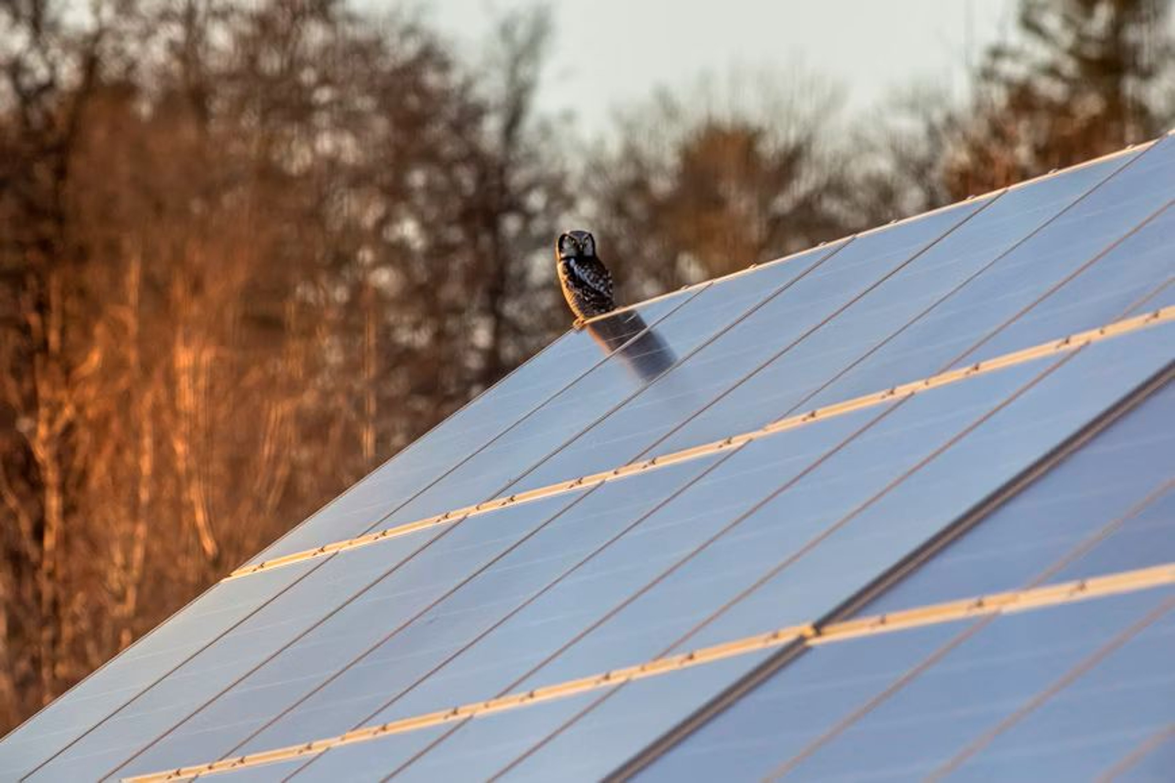 Solaranlage anmelden: Vorschriften und Verbraucherrechte