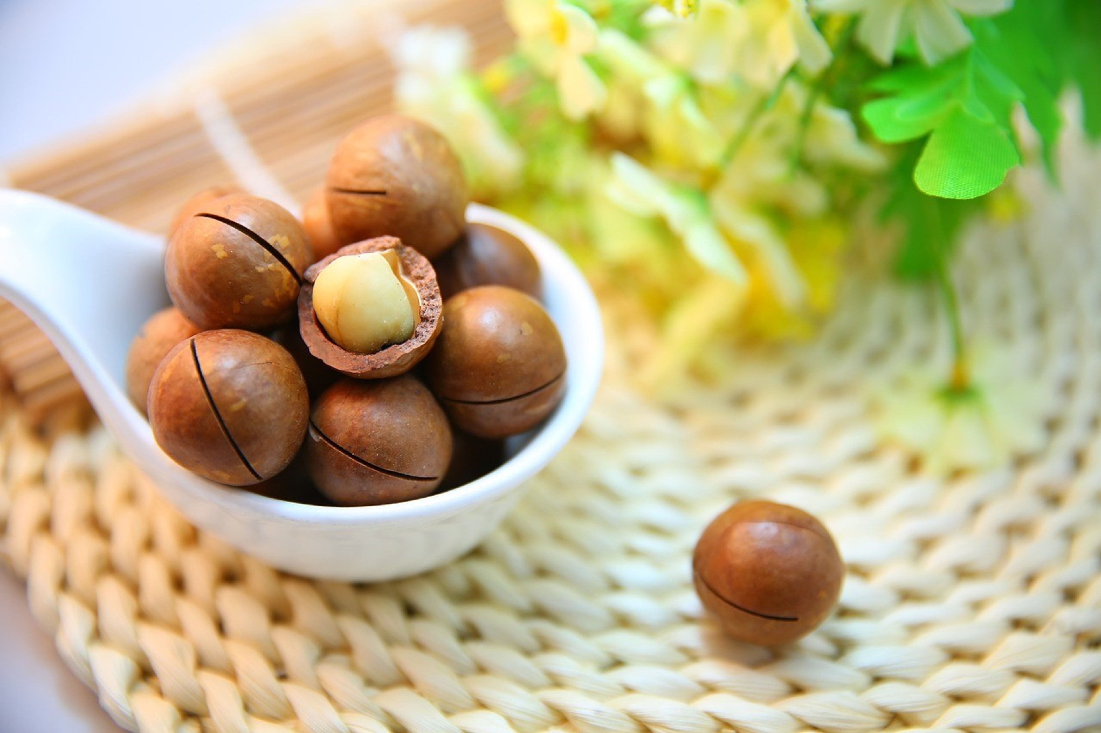 Allergene - welche sind wo versteckt?