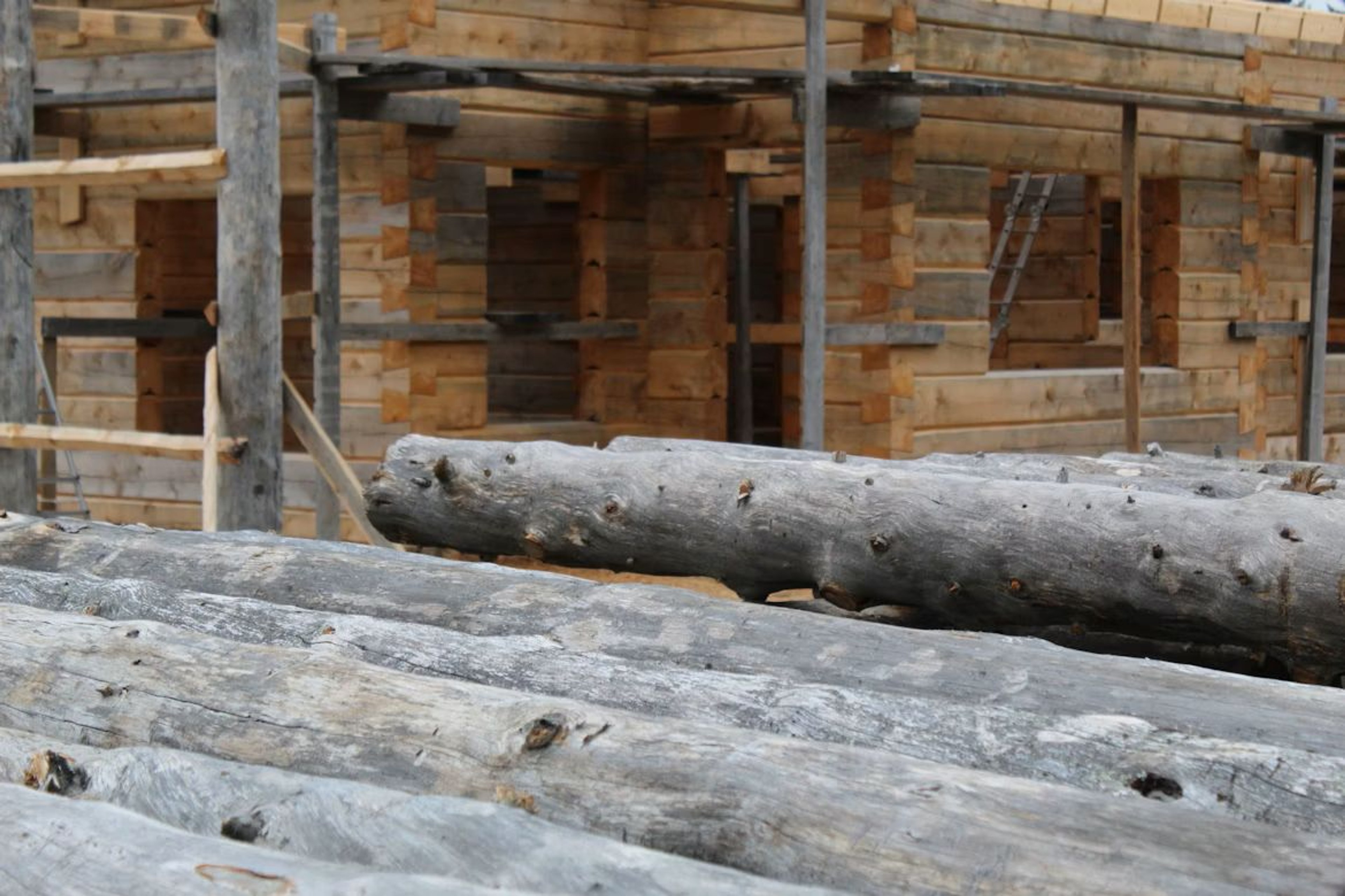 Tradition trifft Zukunft: Die Rolle des modernen Holzbaus