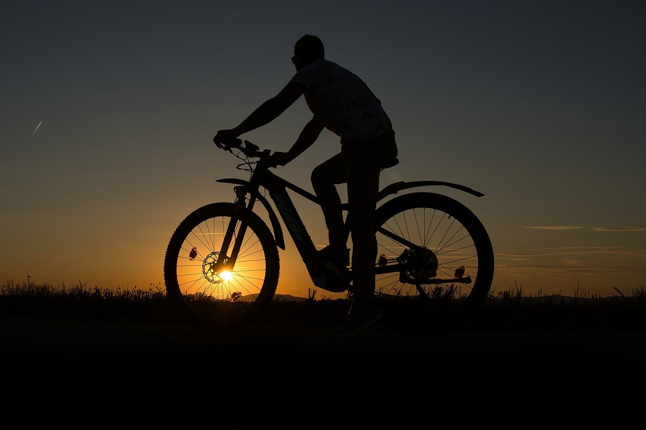 Fahrradfreiheit oder Fahrverbot? Was Biker im Gelände wirklich dürfen