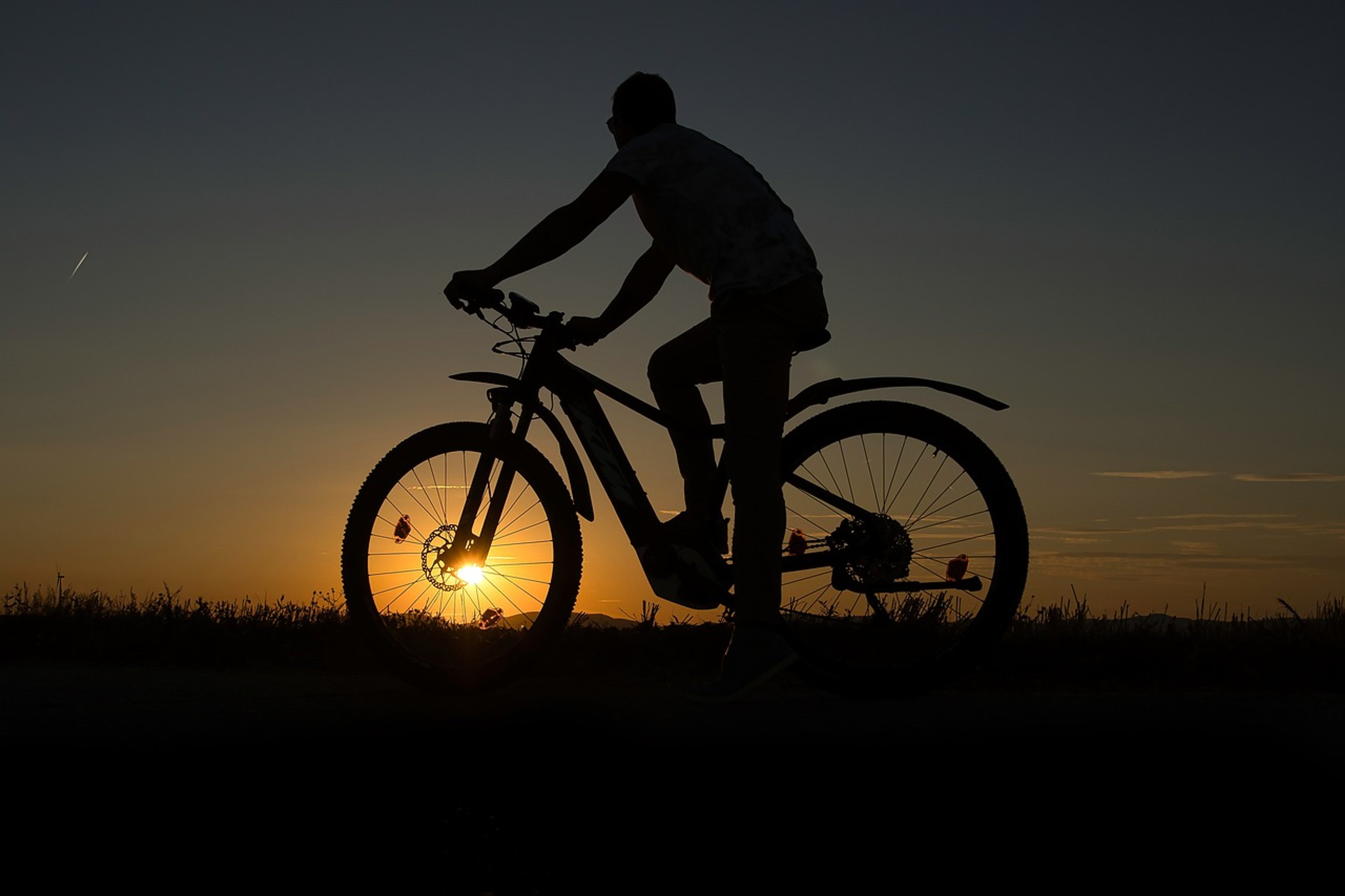 Fahrradfreiheit oder Fahrverbot? Was Biker im Gelände wirklich dürfen