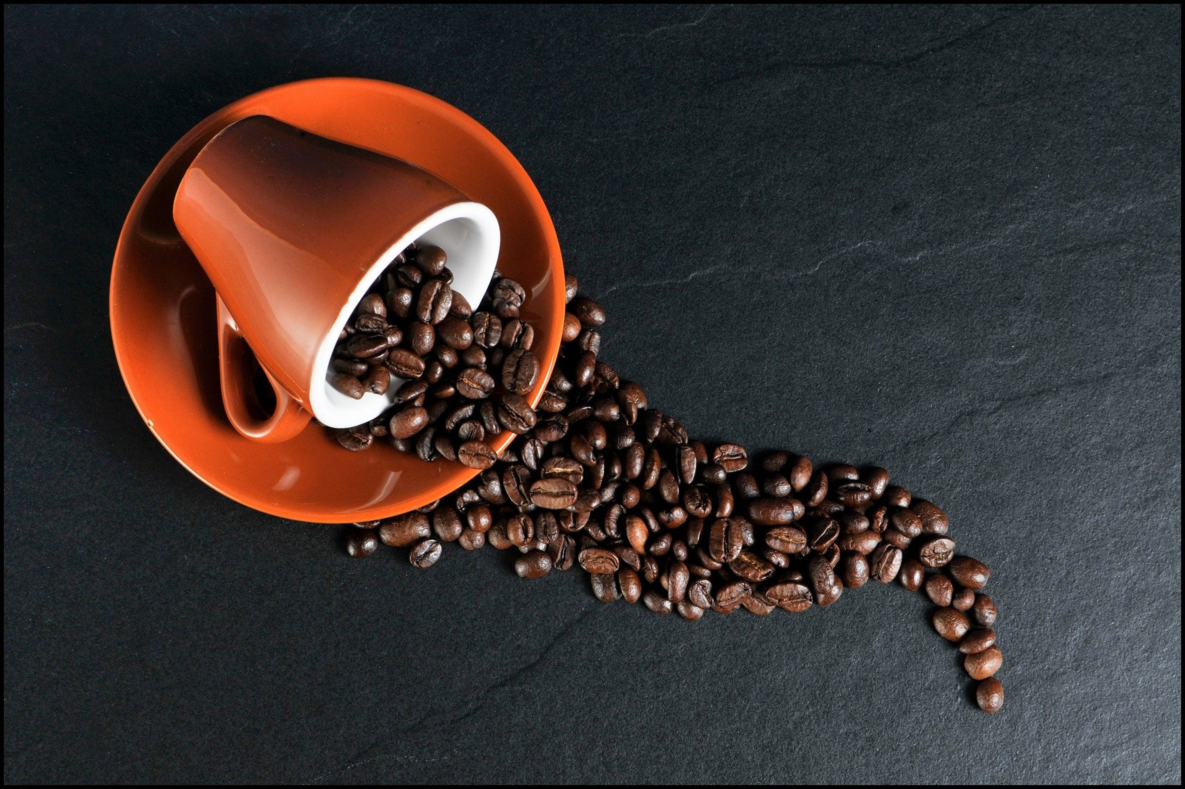 Guter Kaffee: Was macht ihn eigentlich aus?