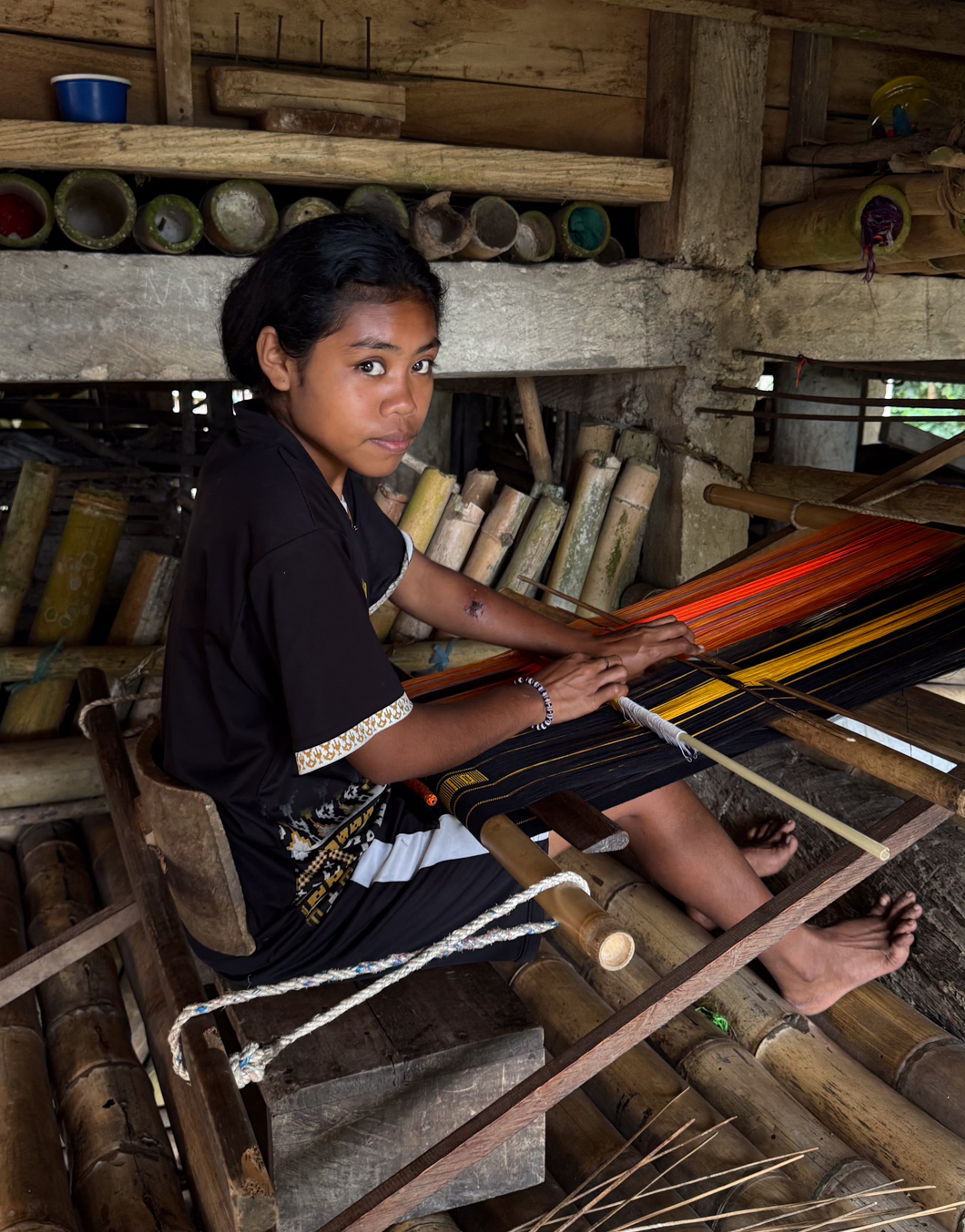 Sumbanese woman weaving on traditional loom, Sumba Image