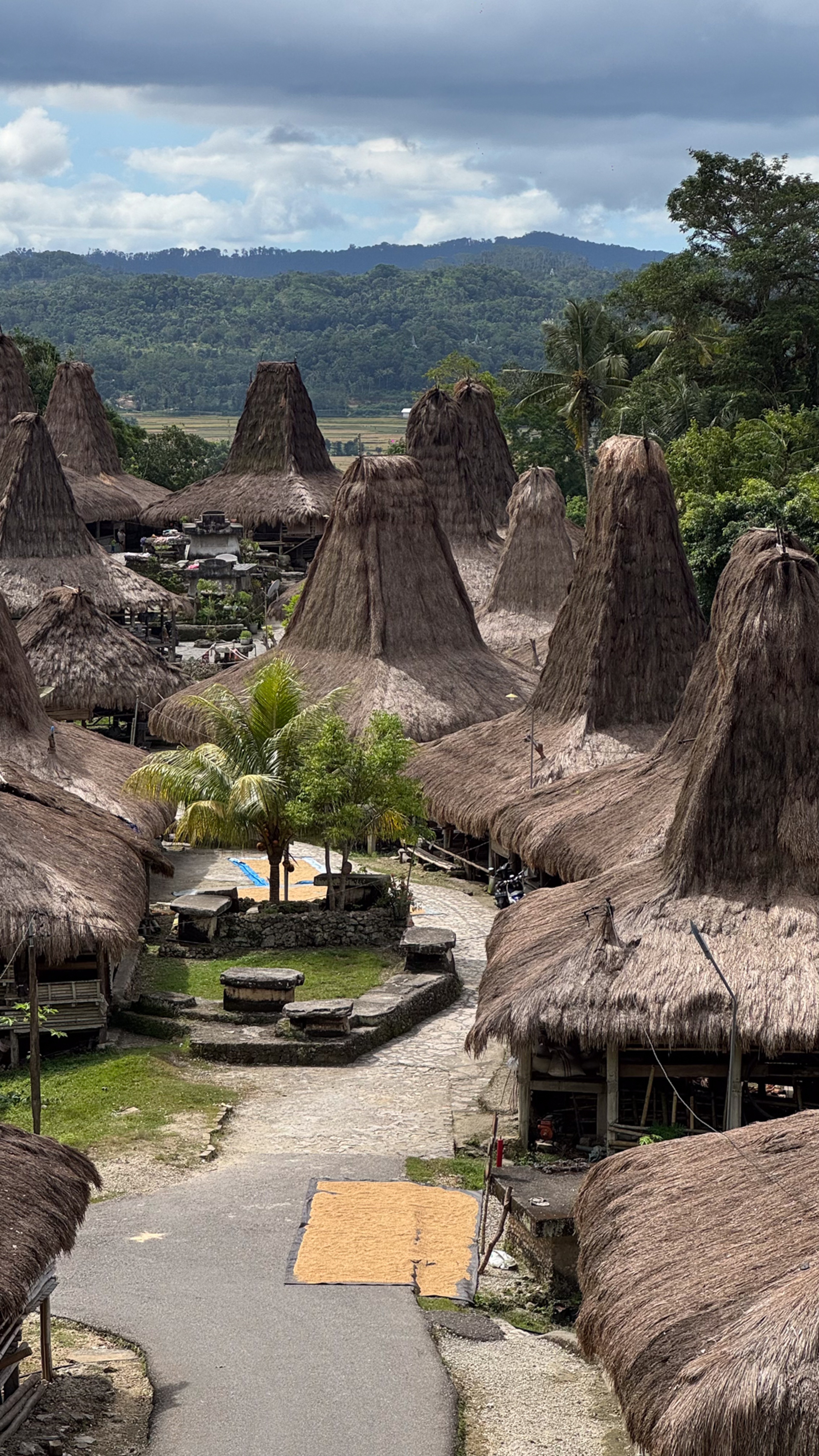 Traditional Sumbanese village with tall thatched roof houses Image