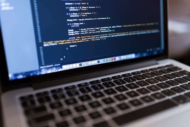 Manually and selectively downsizing wordpress images with XNVIEW