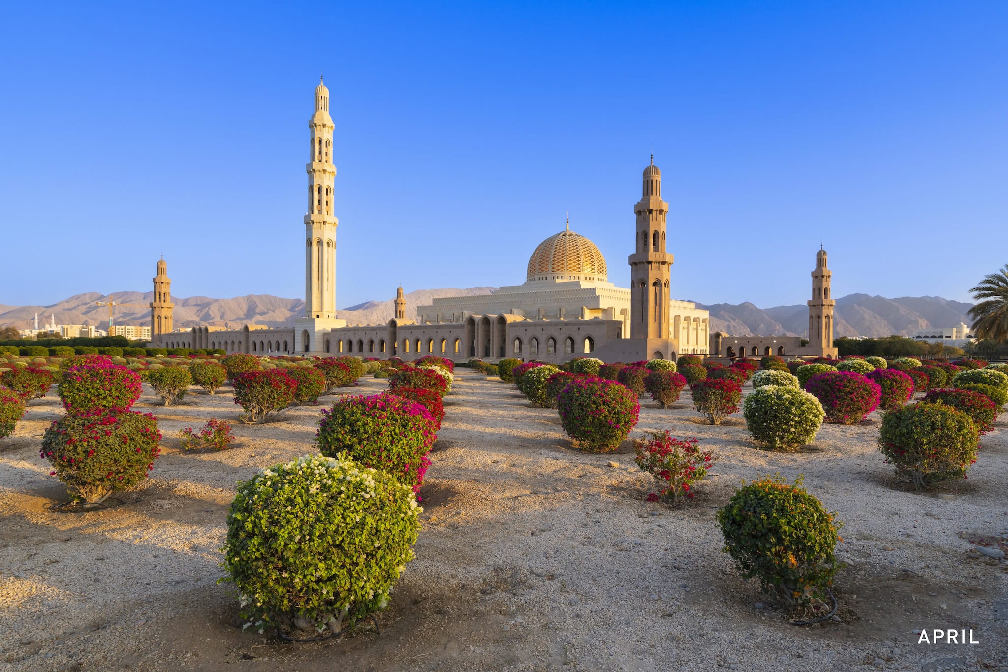 April: Mosque domes and minarets above formal gardens, Muscat, Oman