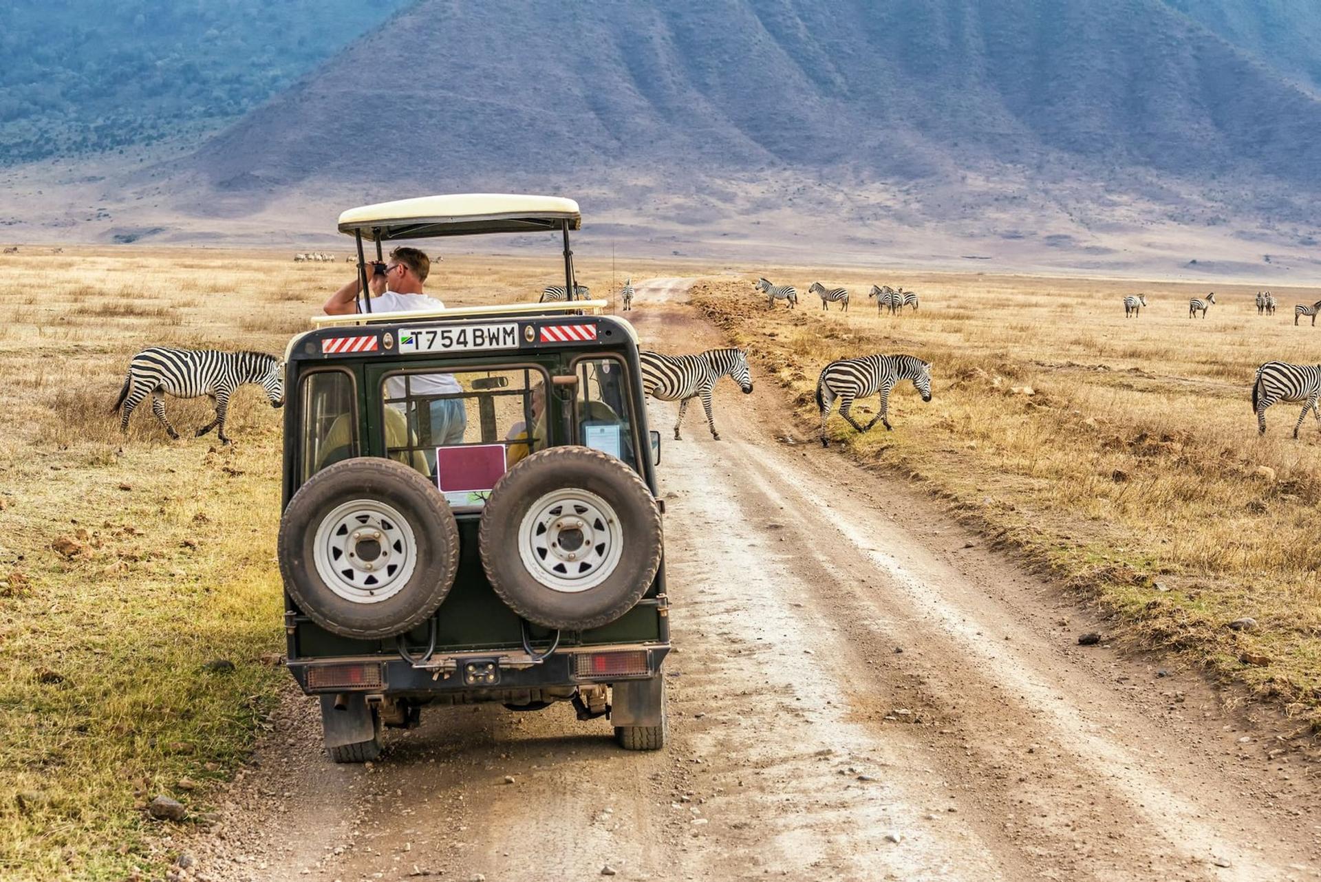 A good example of a photo that a car rental company can use for their promotion