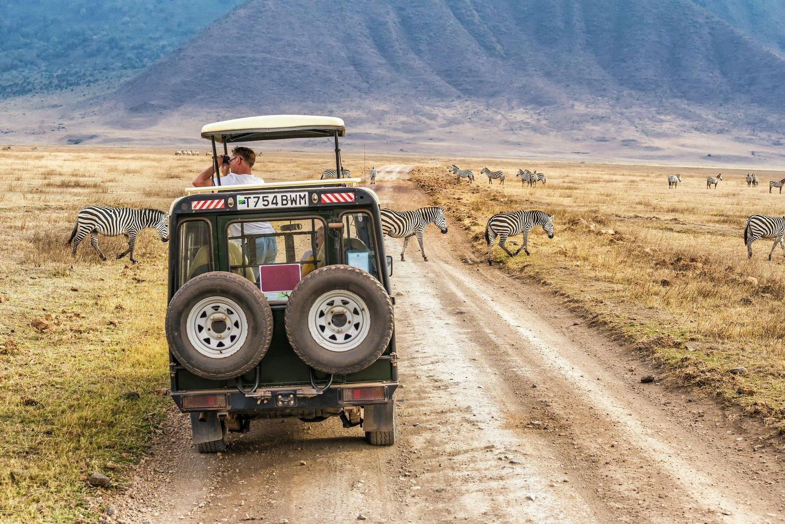 A good example of a photo that a car rental company can use for their promotion