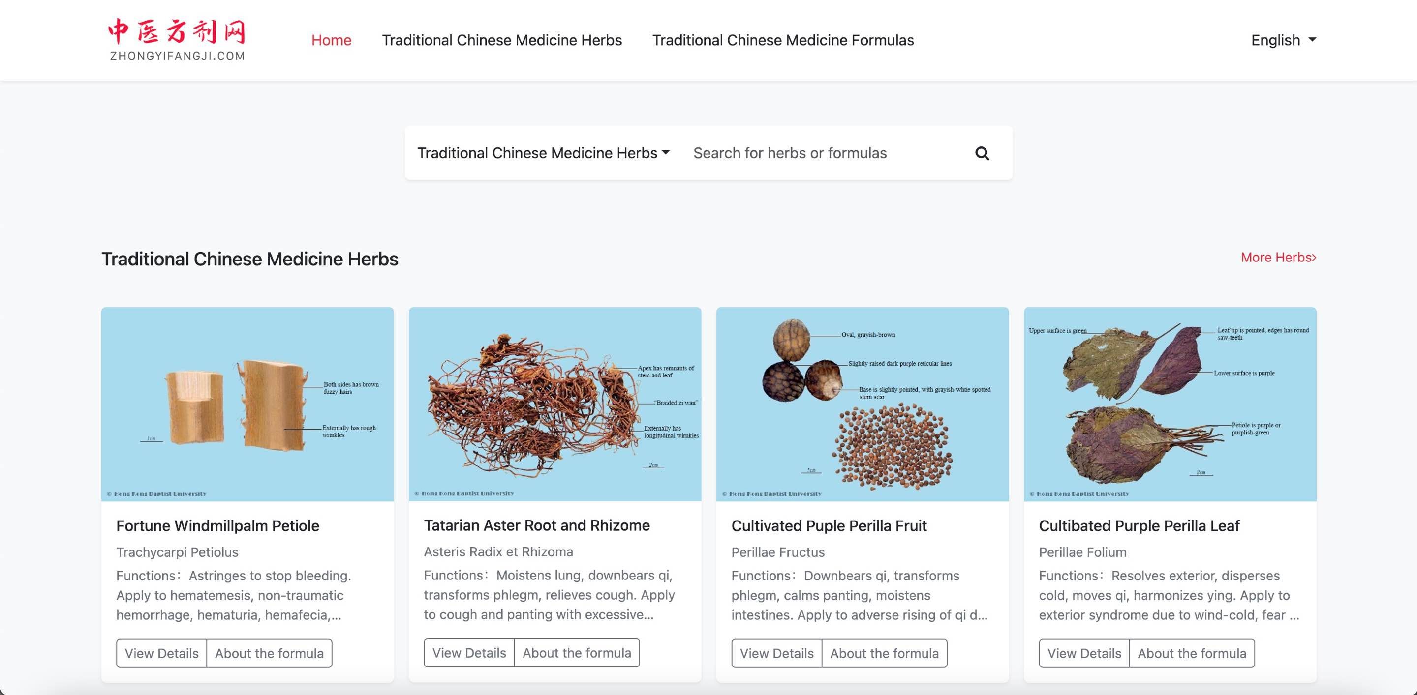 Chinese Medicine Prescription
