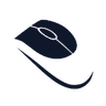 Mouse Sensitivity Converter Mouse Sensitivity Converter