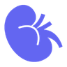 eGFR Calculator eGFR Calculator