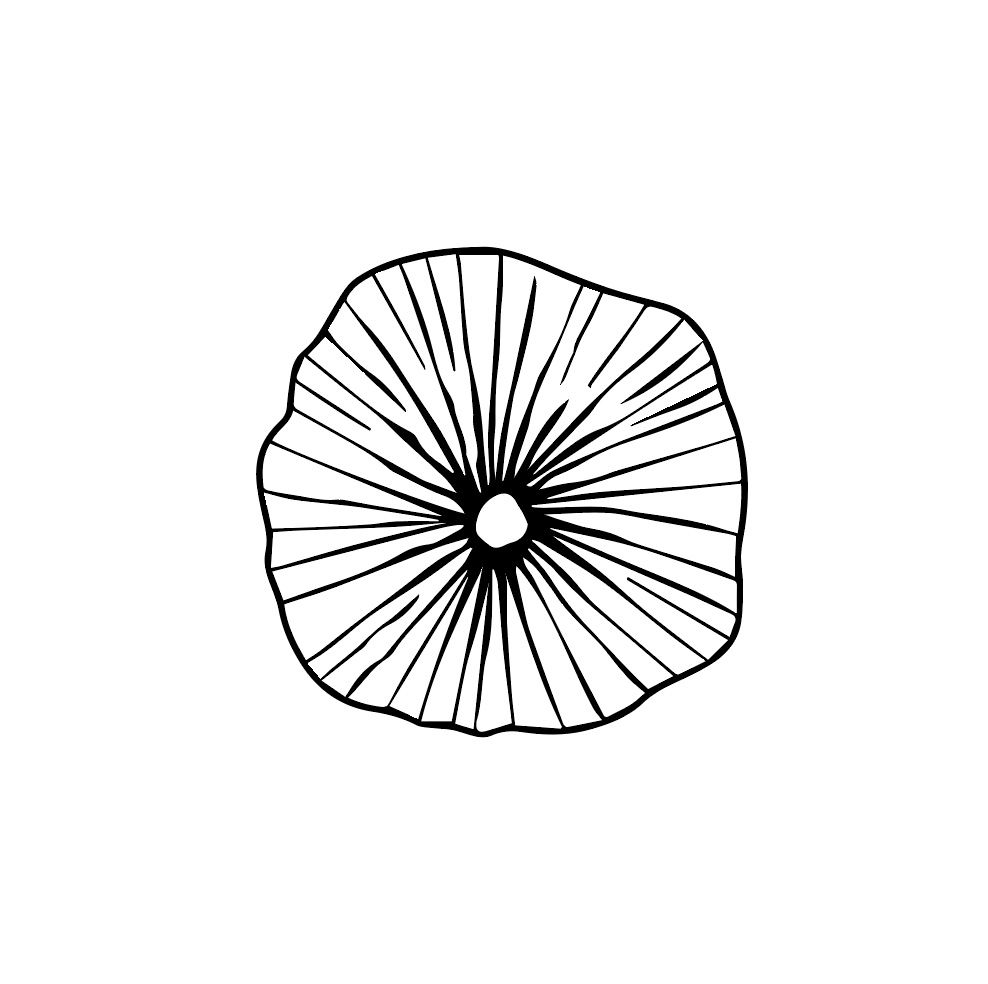 Mycelium logo