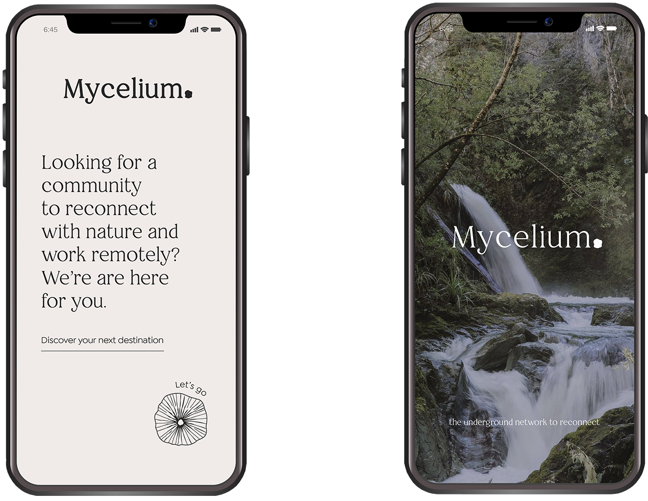 Mycelium app
