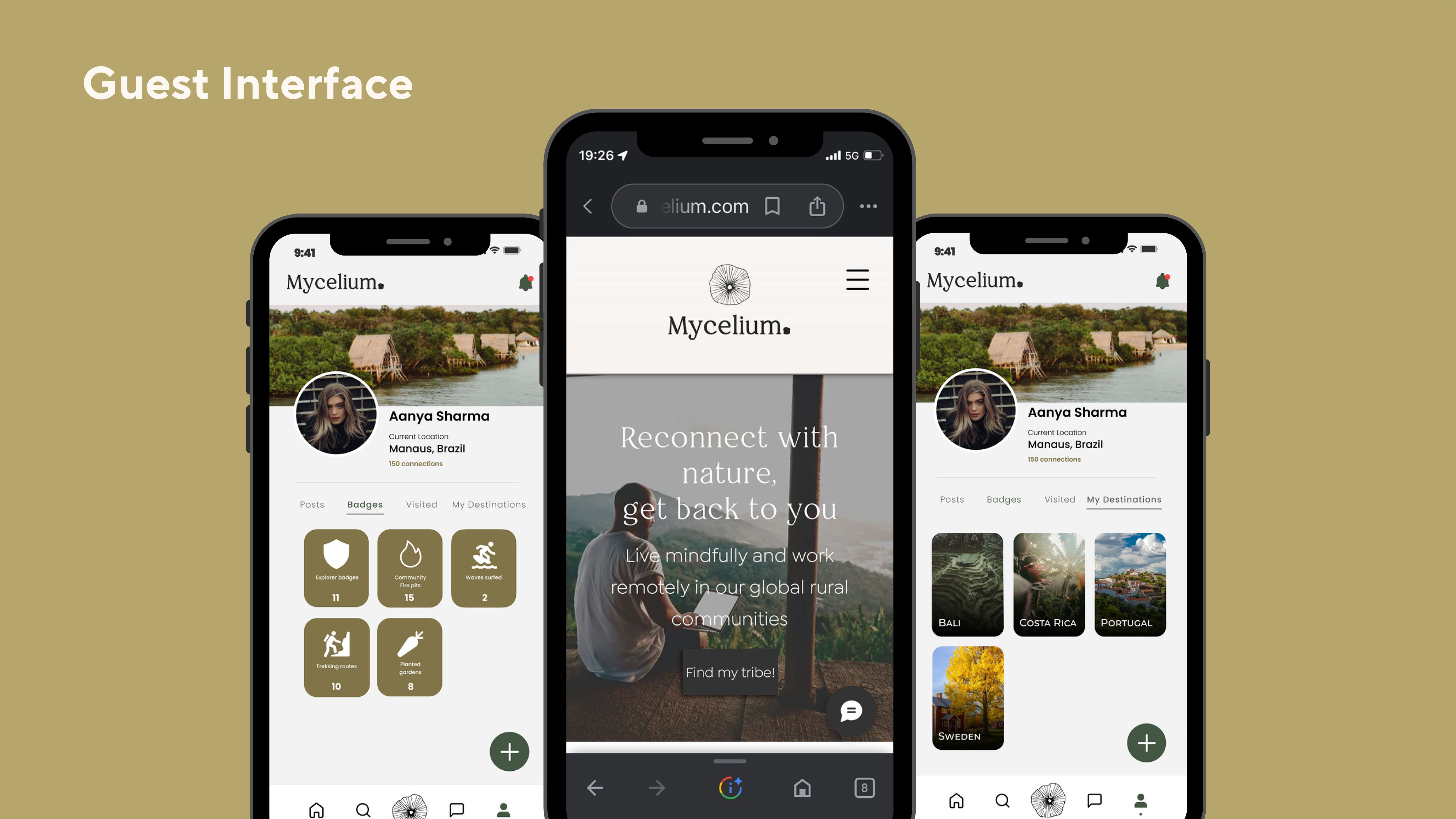 Guest Interface