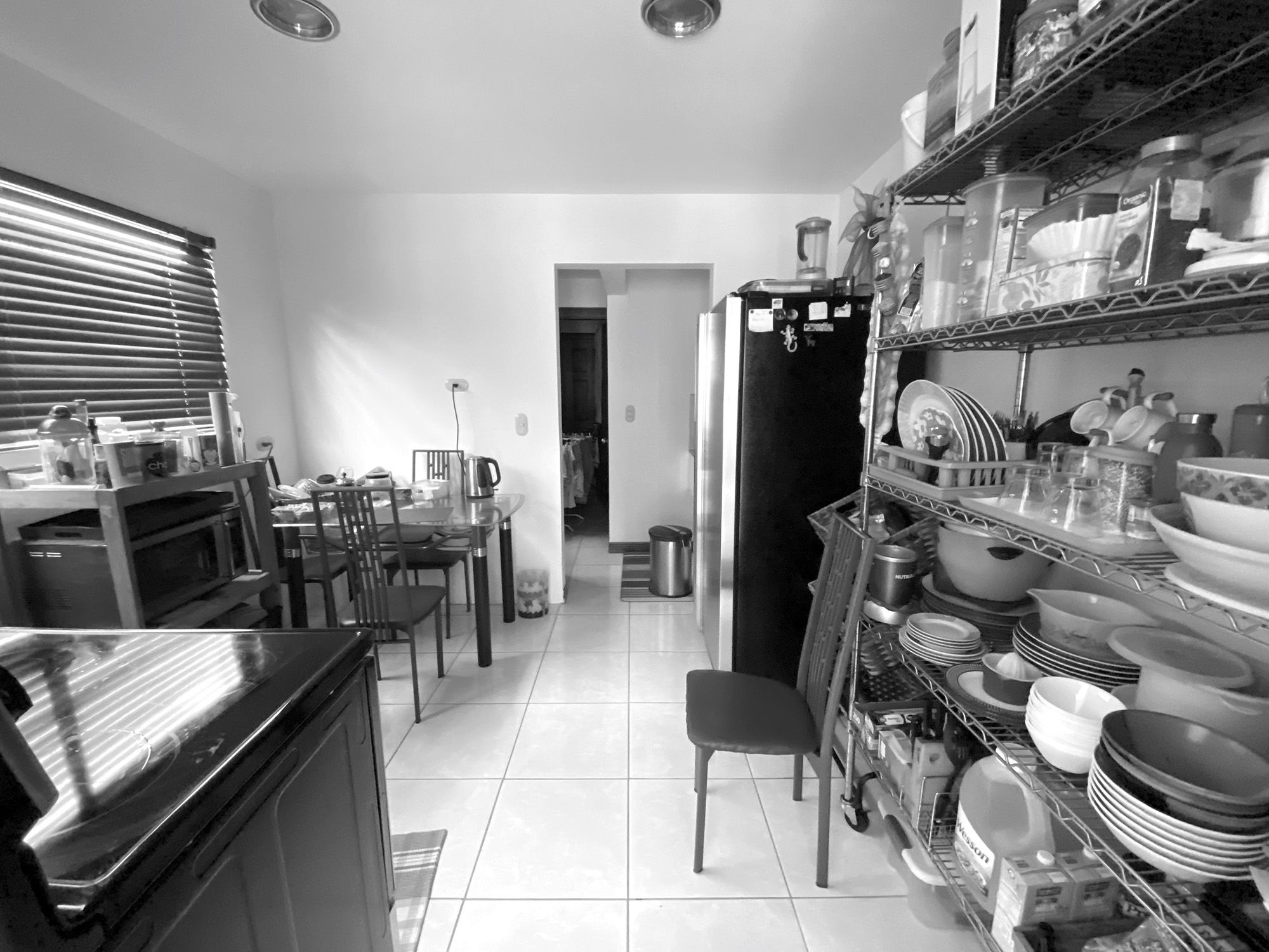 Kitchen + Terrace Reno