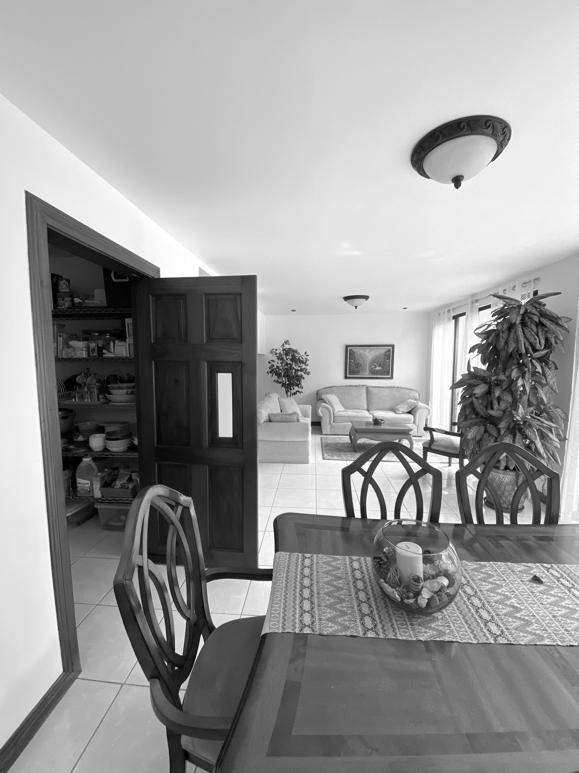 Kitchen + Terrace Reno