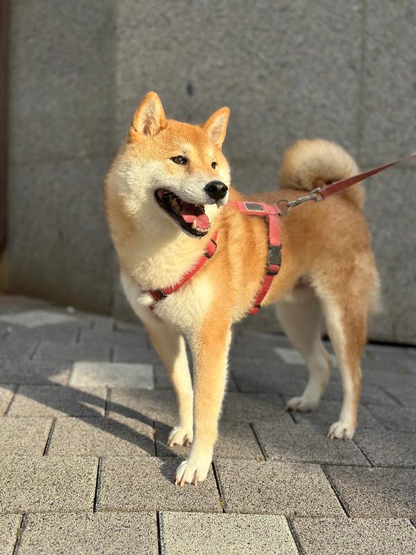 길산 사진 3