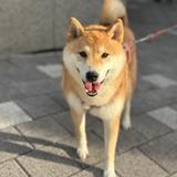 길산