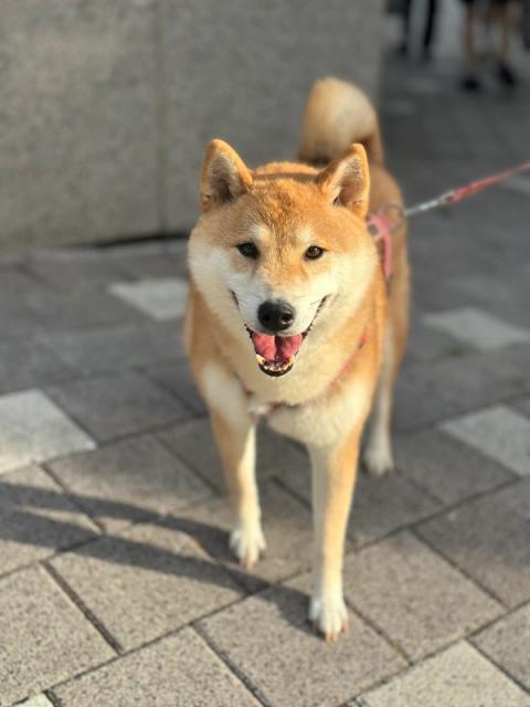 길산 사진