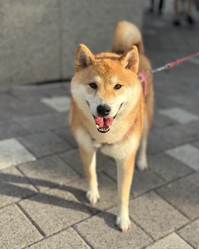 길산 포토