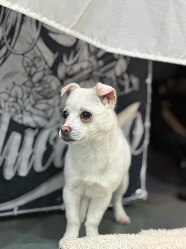 마루 사진 4