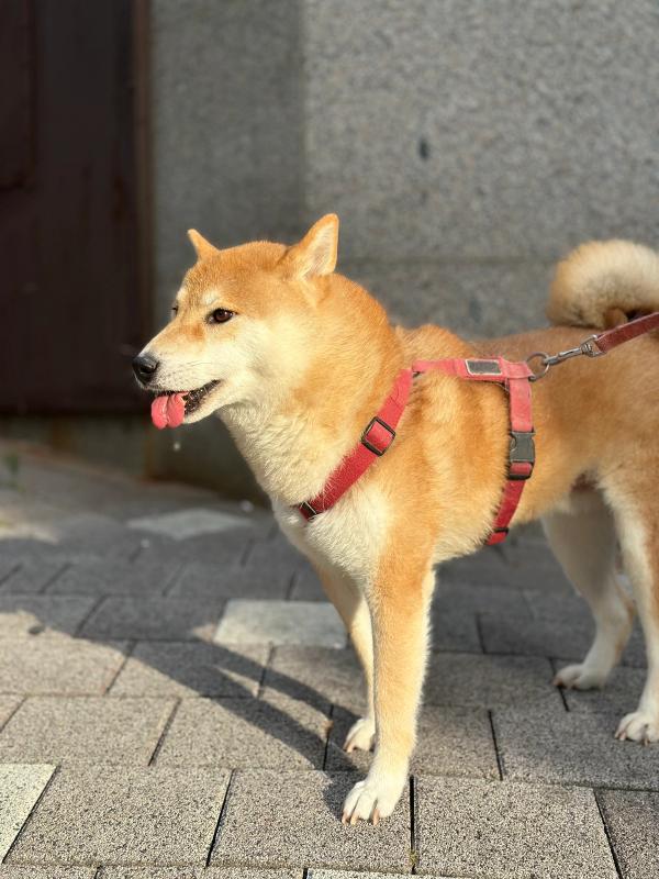 길산 사진 2