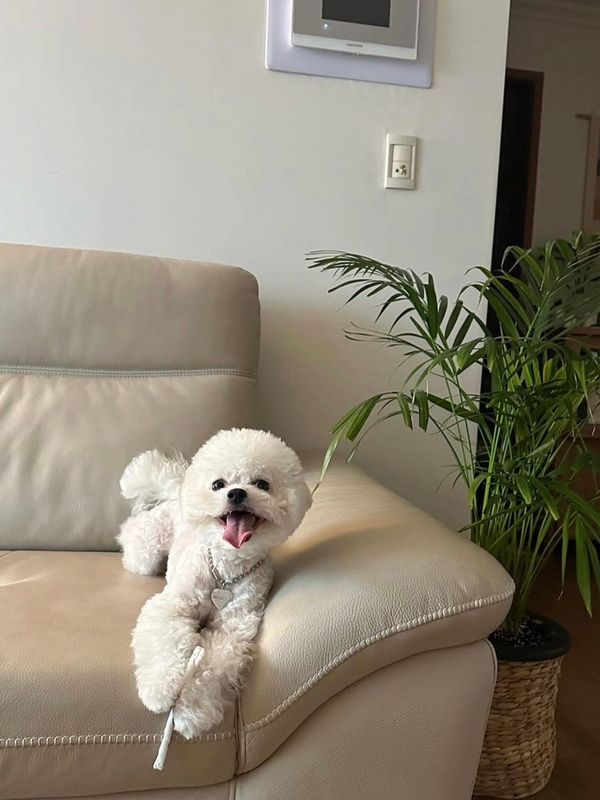 마이쮸 사진 2
