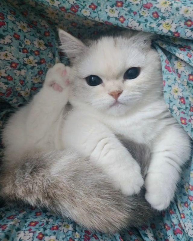 루스 포토