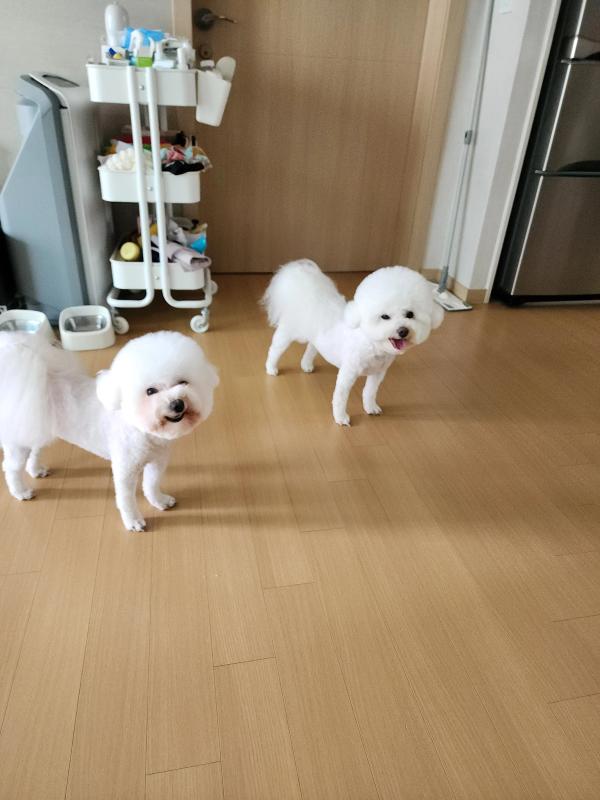 뚱이 사진 3