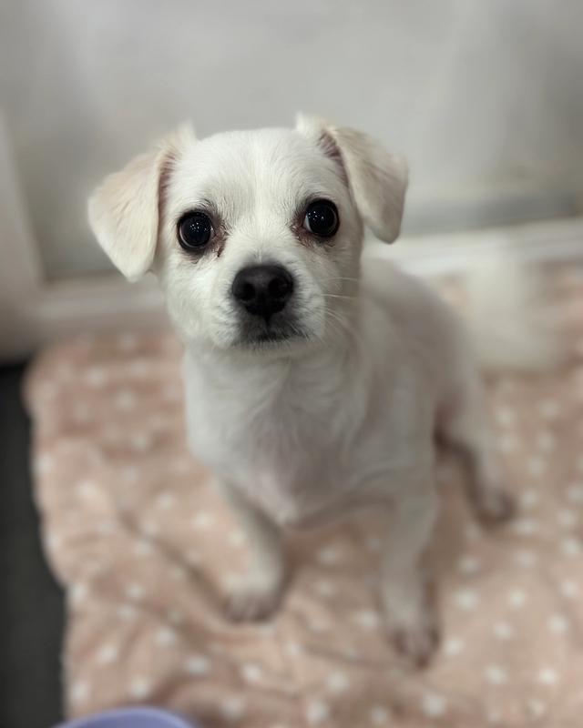 멜로 포토