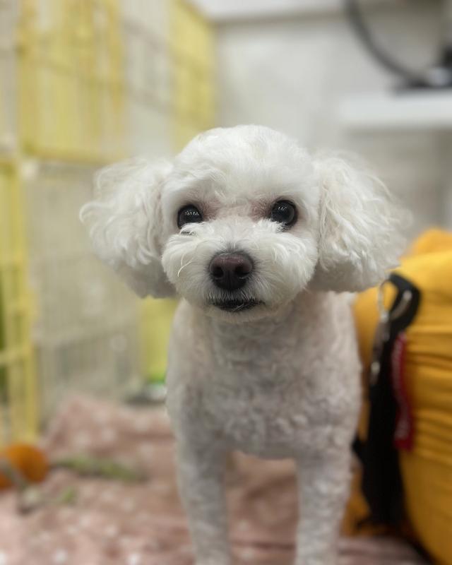뚱이 포토