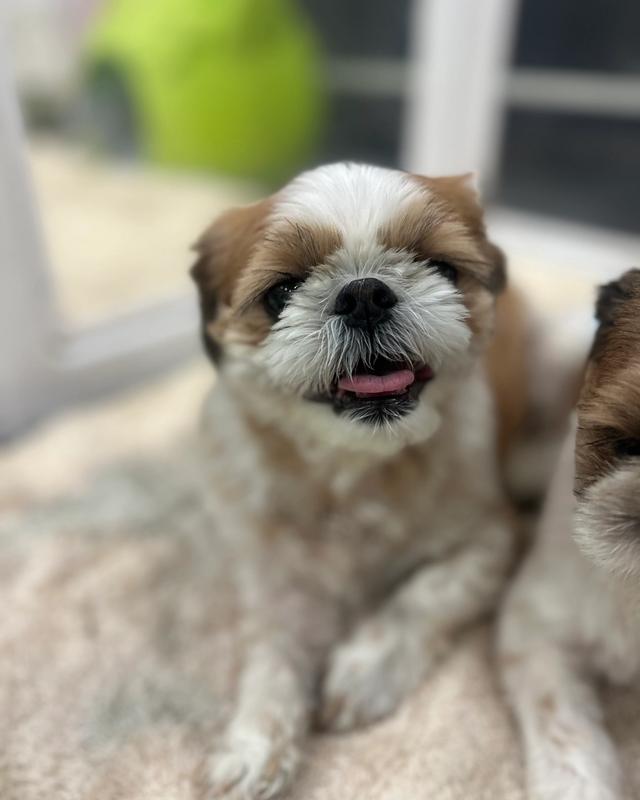 나롱이 포토