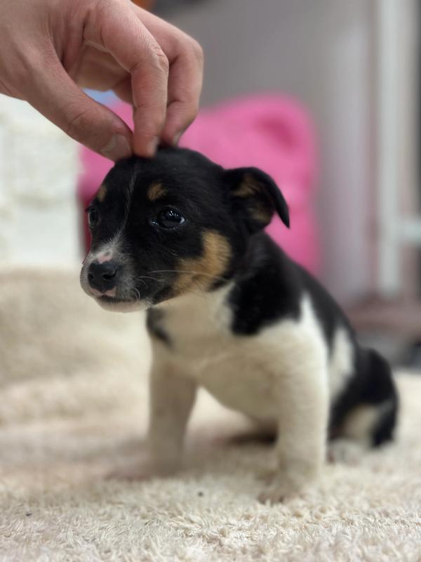 행곰이 사진 2