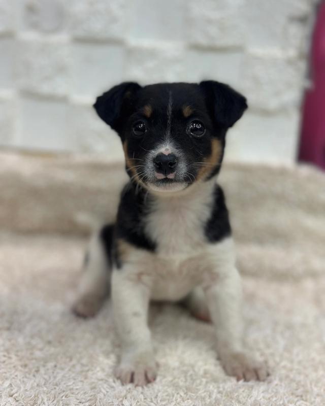 행곰이 포토