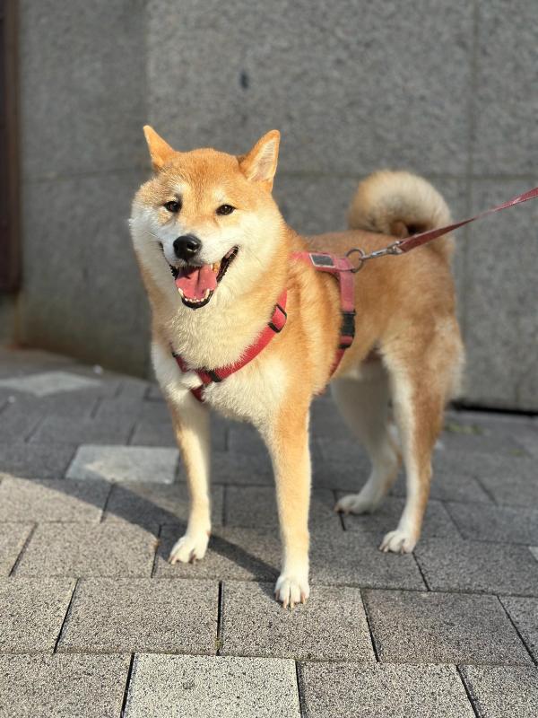 길산 사진 4