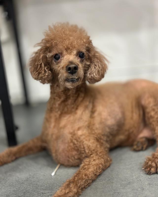 콩이 포토