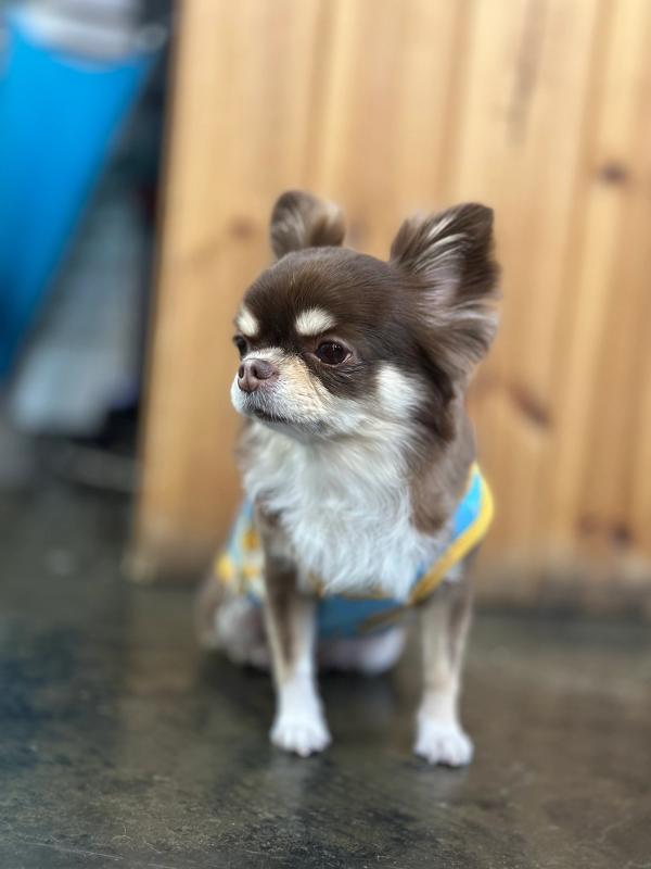 에르 사진 2
