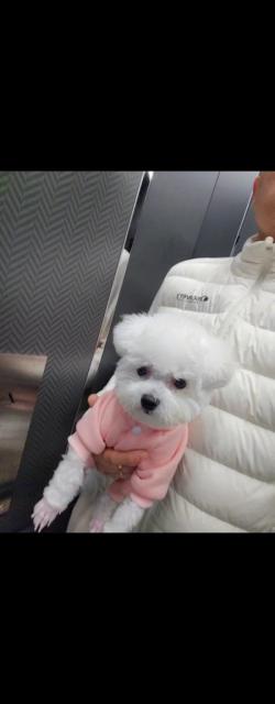 메라 사진