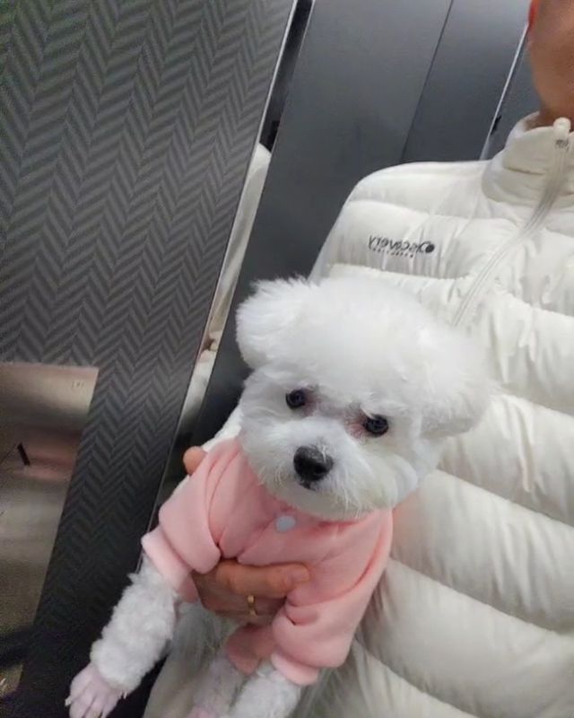 메라 포토