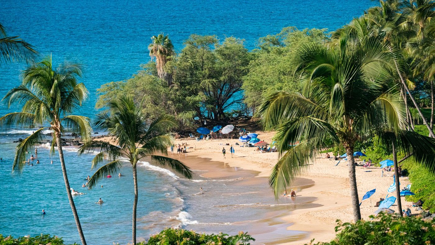 Vacation Rental Marketing on Maui: What ChatGPT Names and What Google Shows Next