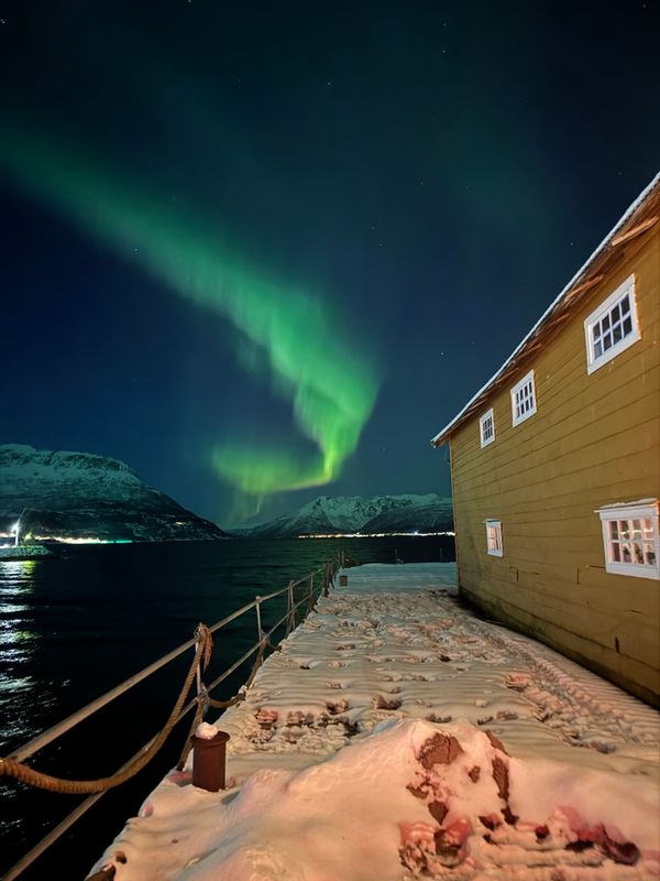 Nordlys over fjorden mot Salangen med snødekte bygninger