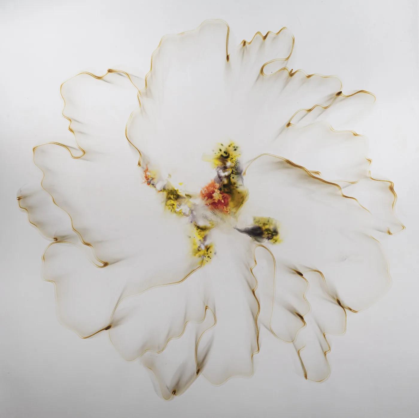 Dennis Lee MITCHELL, Untitled (64)