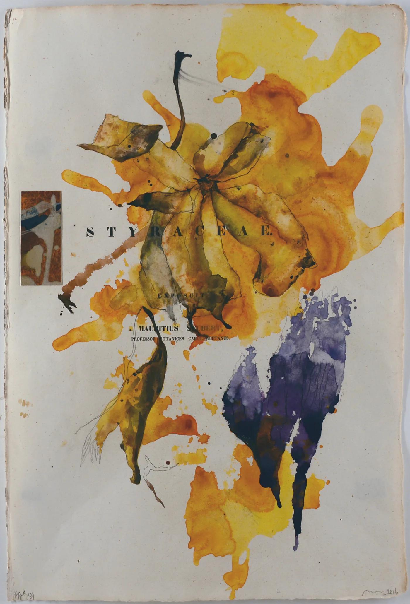Bob NUGENT, Flora Brasiliensis #189