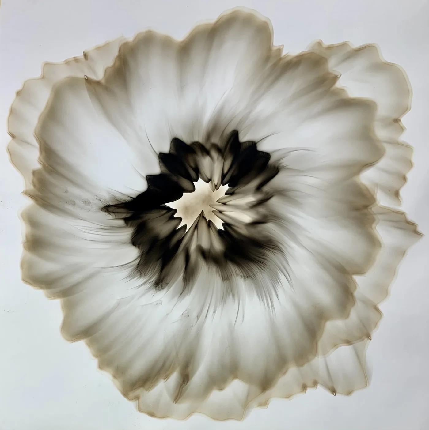 Dennis Lee MITCHELL, Untitled
