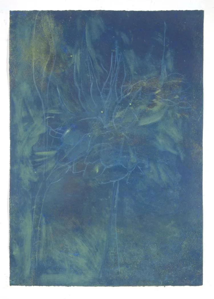 Suzi DAVIDOFF, Flowers for VSW