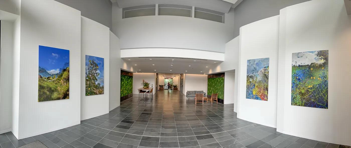 LeBeau Realty & Associates — installation view