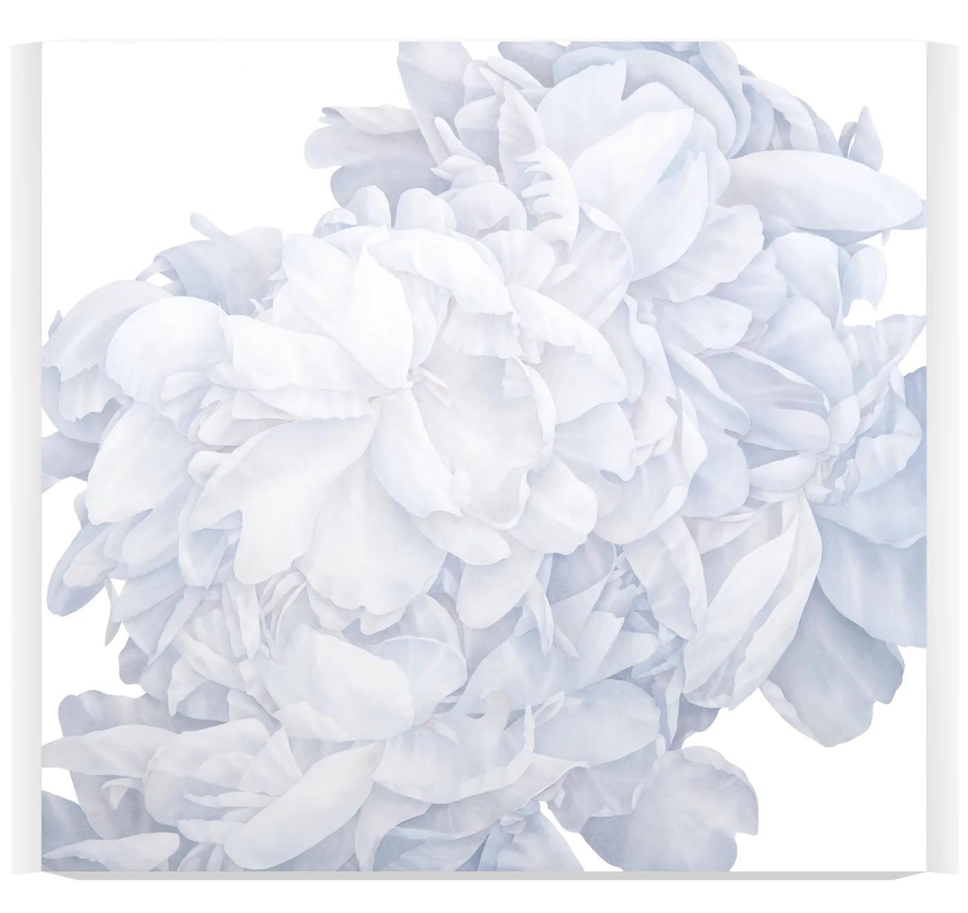 Greg MURR, Field Cluster